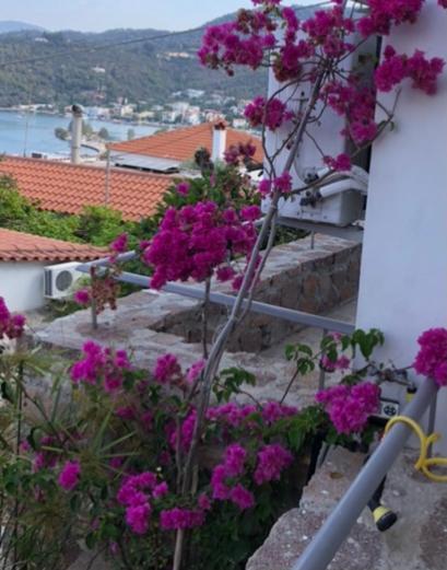 Veranda Blue - Poros Poros Town Luaran gambar